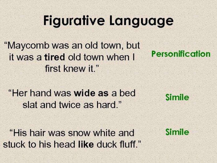 Figurative language from to kill a mockingbird